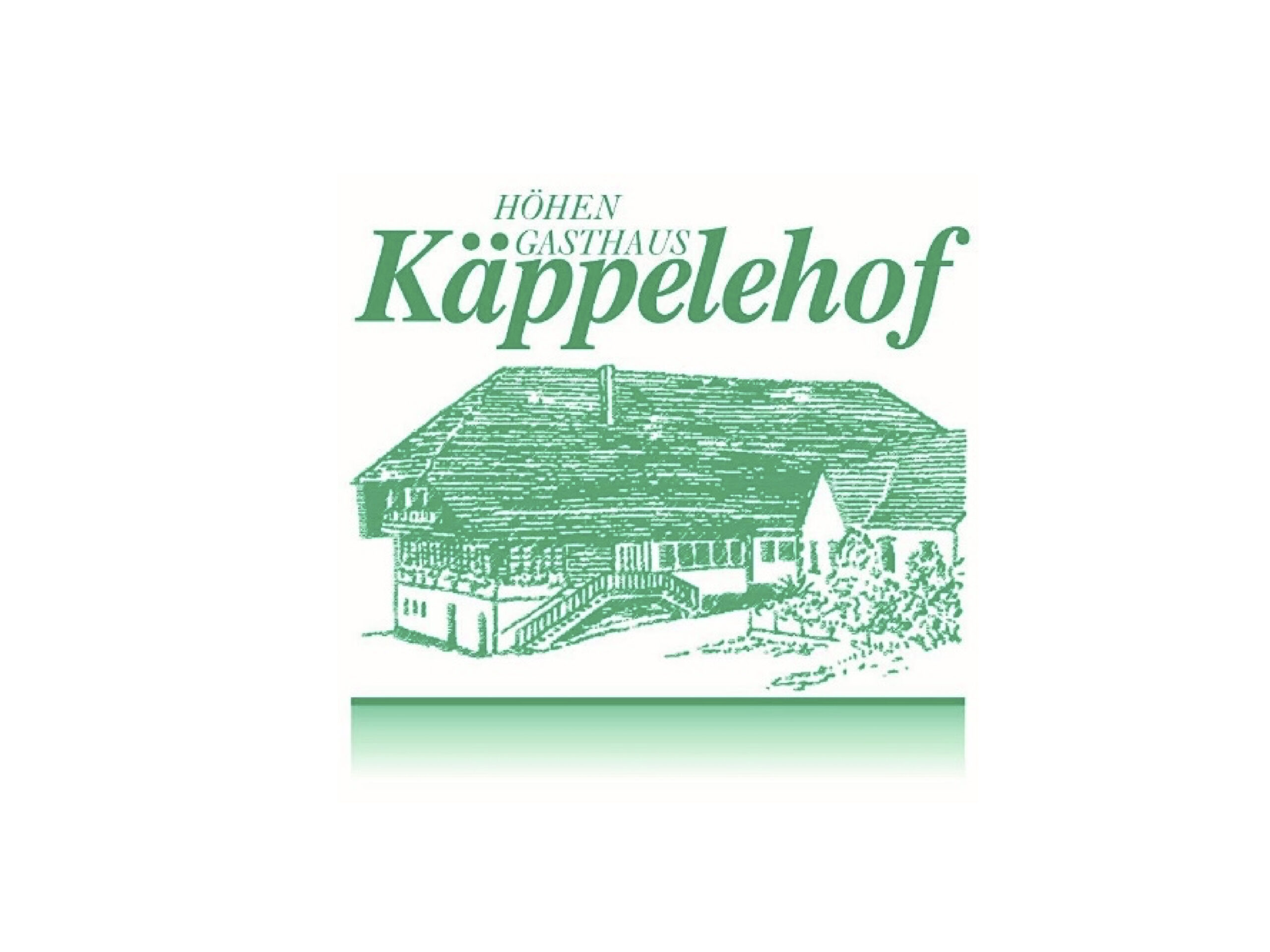 logos-tv-hausach_Zeichenfläche 1 Kopie 16
