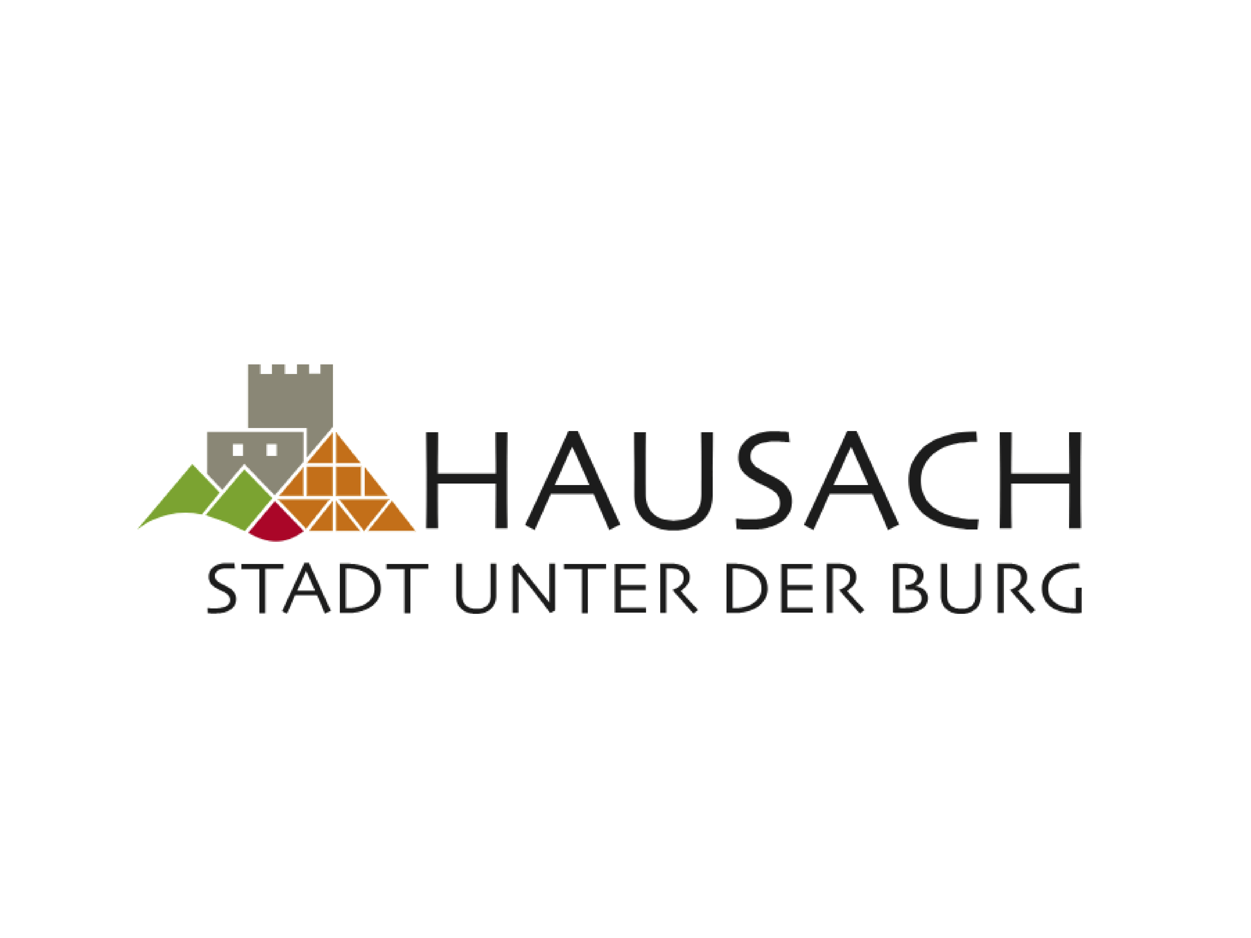 logos-tv-hausach_Zeichenfläche 1